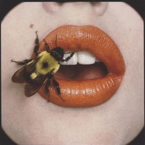 irving penn - bee 1995