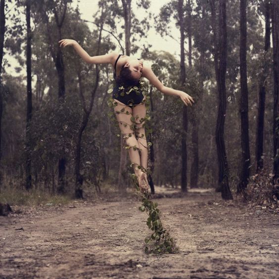 Roots
